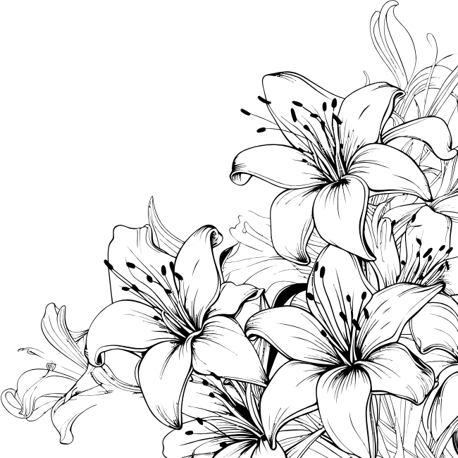 Flor inferior